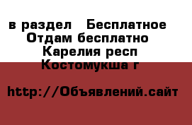  в раздел : Бесплатное » Отдам бесплатно . Карелия респ.,Костомукша г.